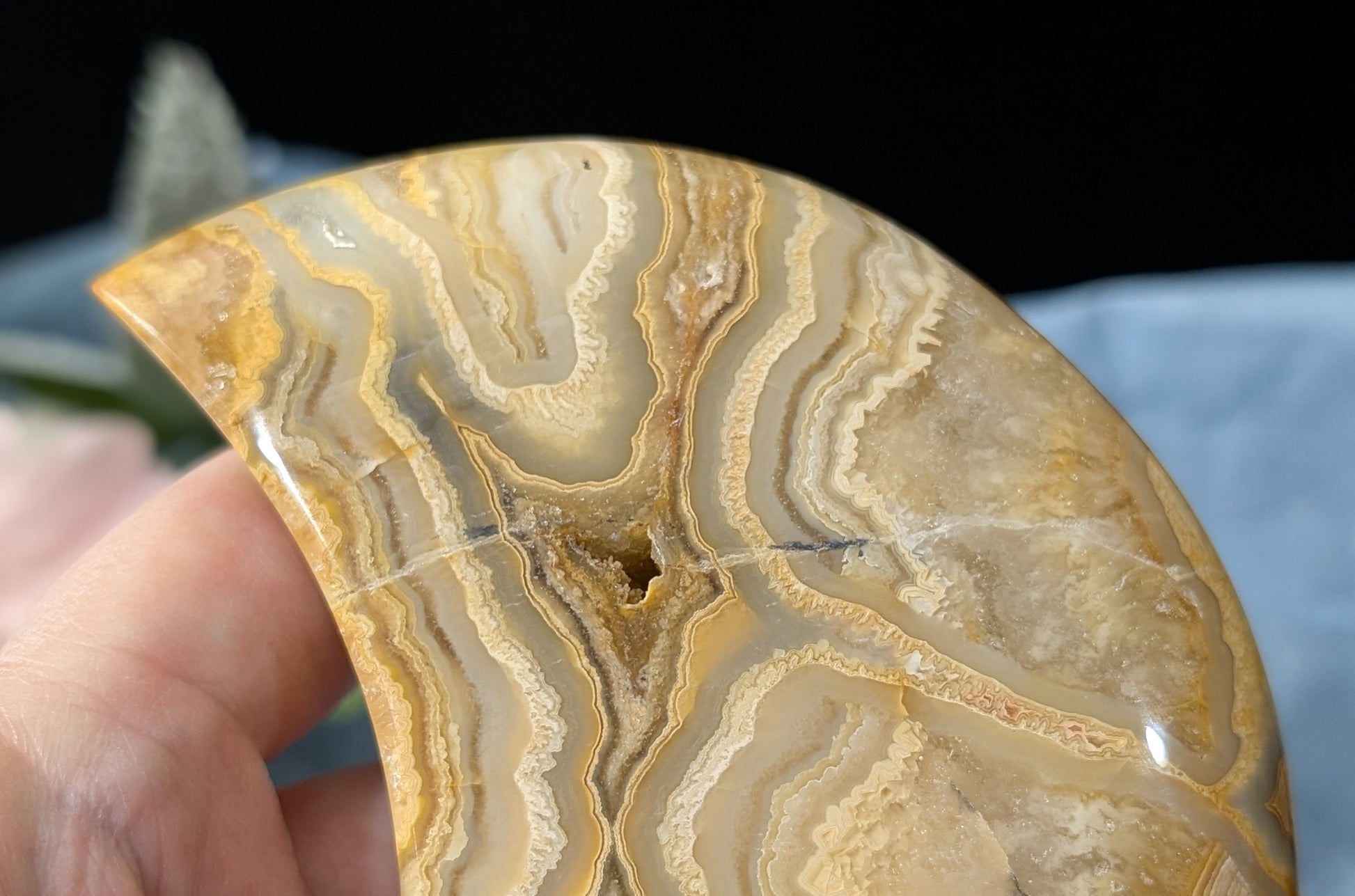 Large Druzy Yellow Crazy Lace Agate Moon