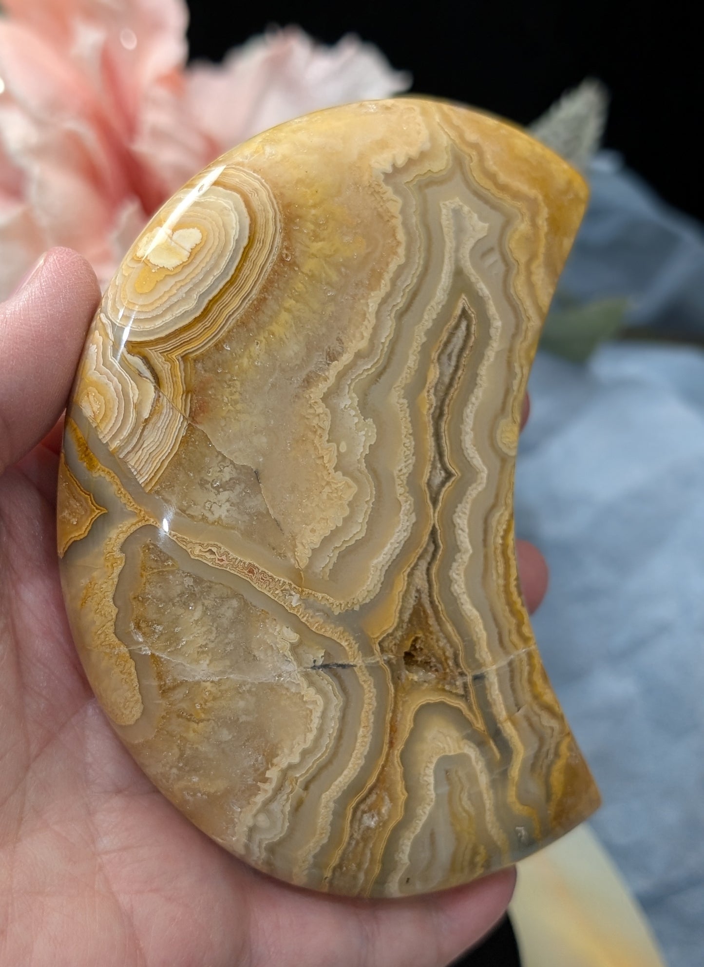 Large Druzy Yellow Crazy Lace Agate Moon