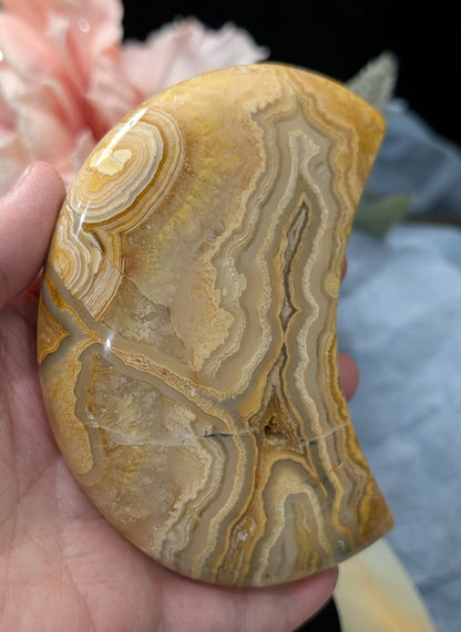 Large Druzy Yellow Crazy Lace Agate Moon