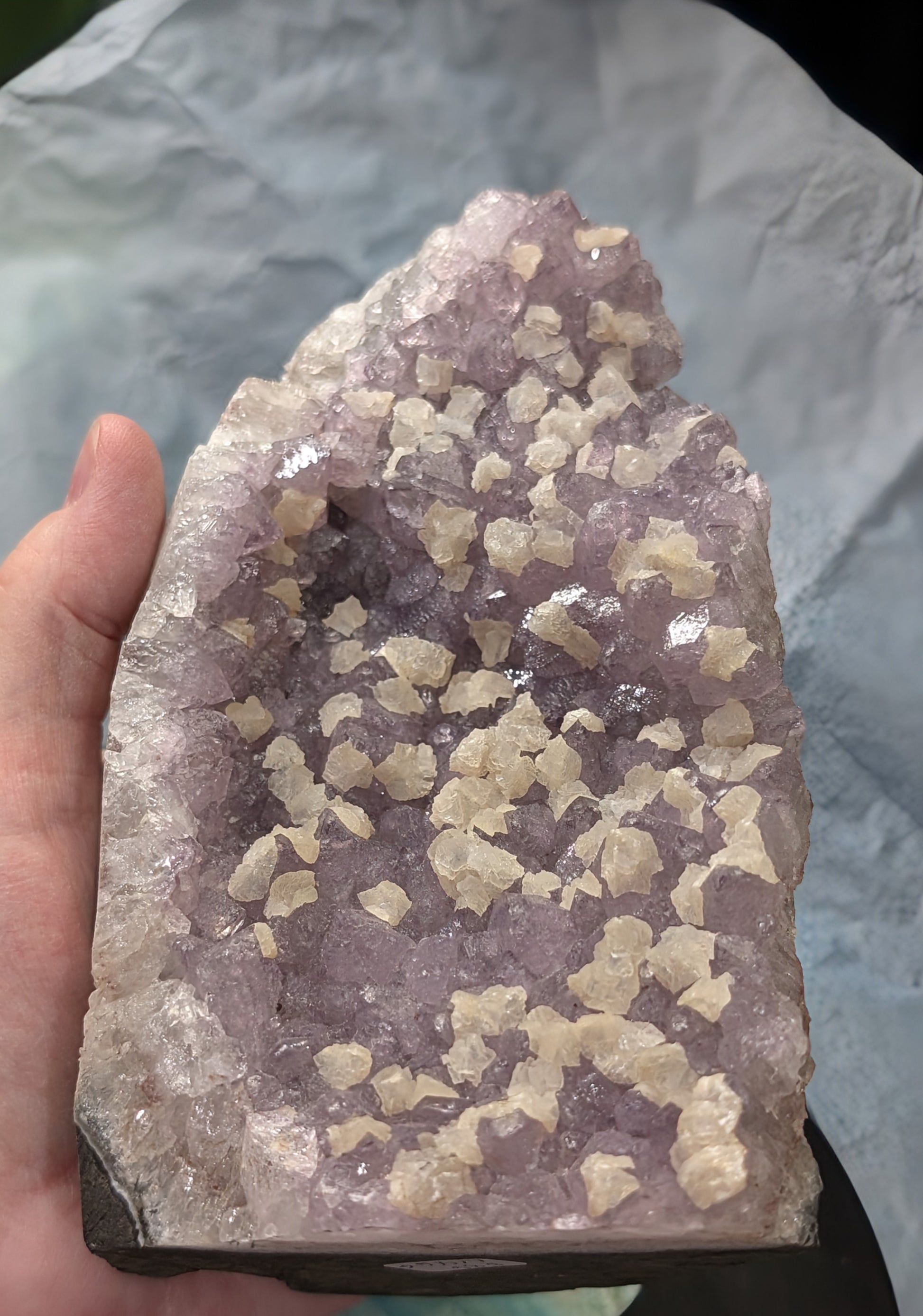 Lavender Purple Amethyst Geode with Dogtooth Calcite