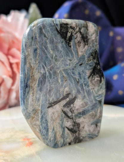 Natural Blue and Black Kyanite Freeform