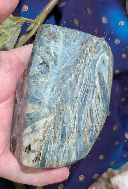 Natural Blue and Black Kyanite Freeform