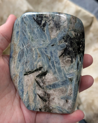 Natural Blue and Black Kyanite Freeform