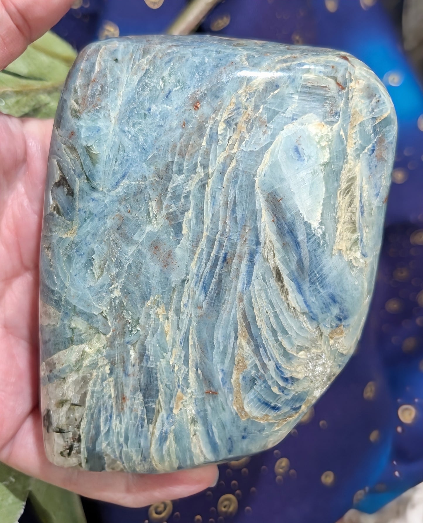 Natural Blue and Black Kyanite Freeform