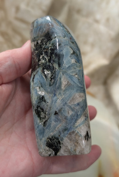 Natural Blue and Black Kyanite Freeform