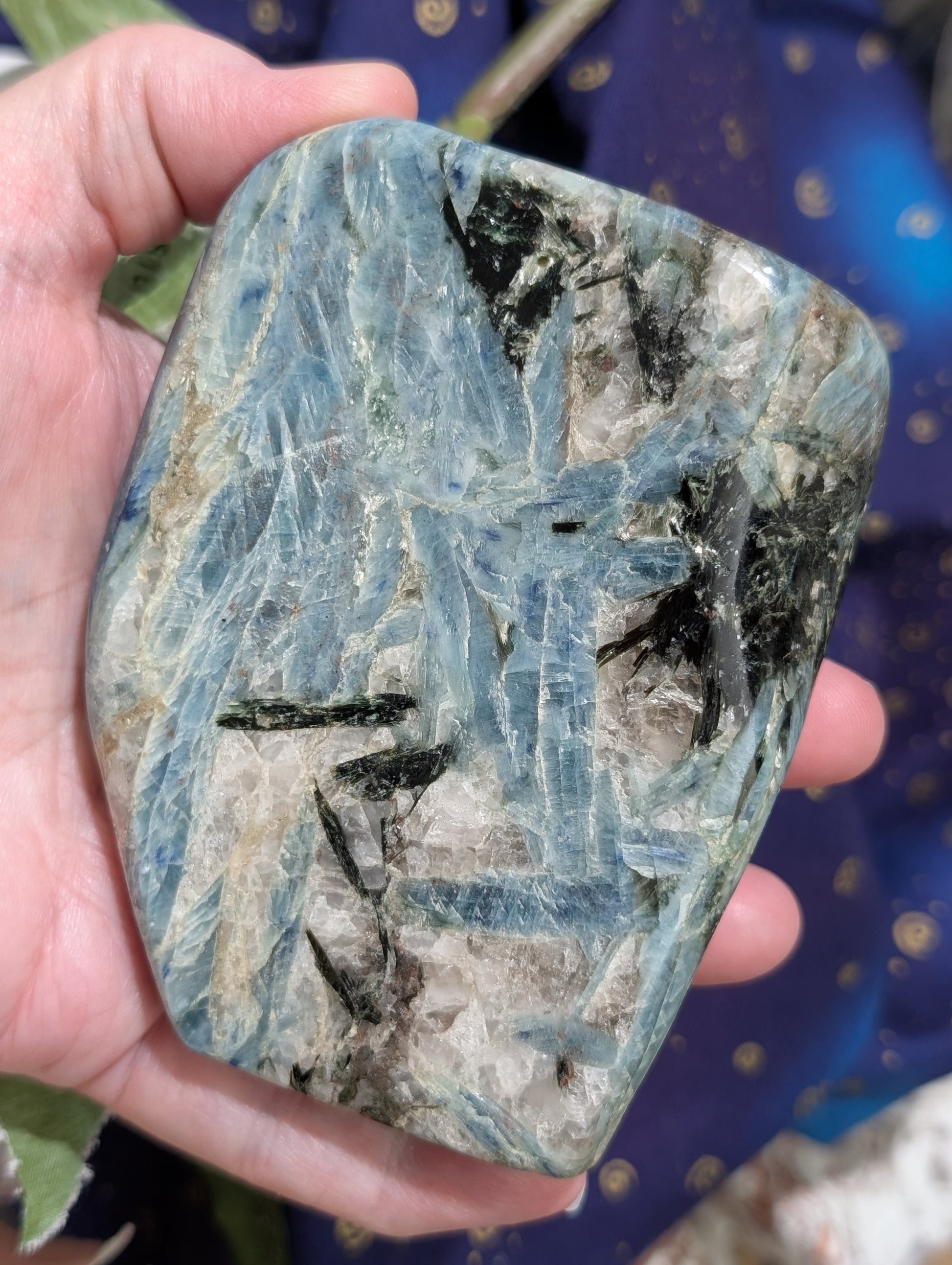 Natural Blue and Black Kyanite Freeform