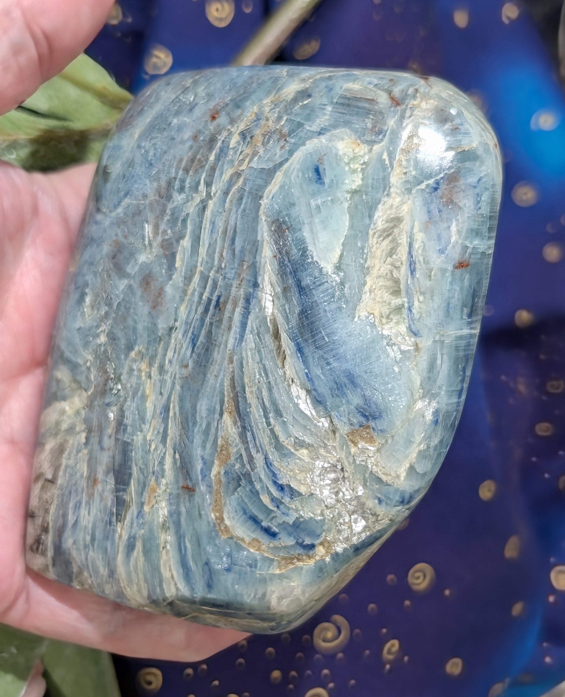 Natural Blue and Black Kyanite Freeform