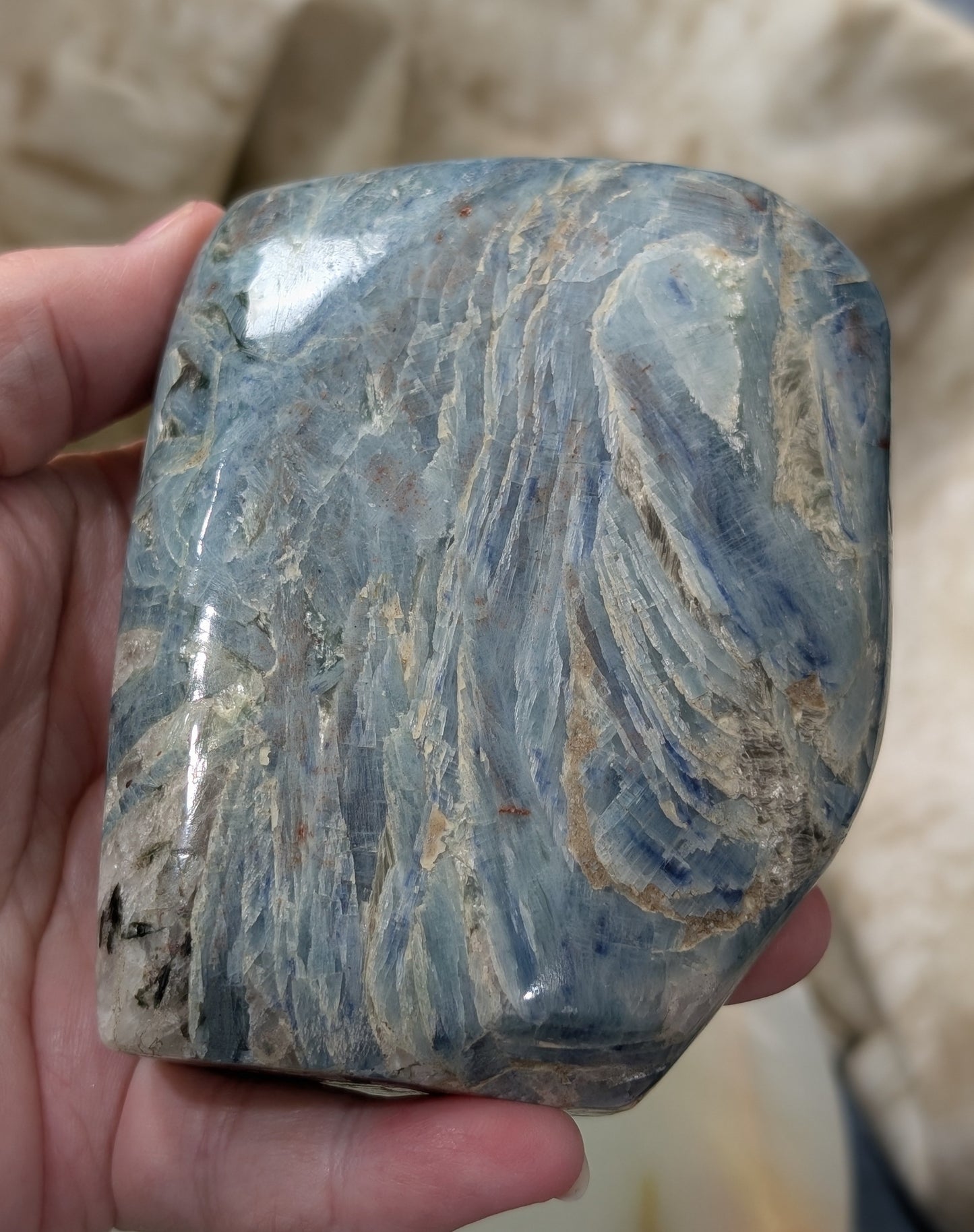 Natural Blue and Black Kyanite Freeform