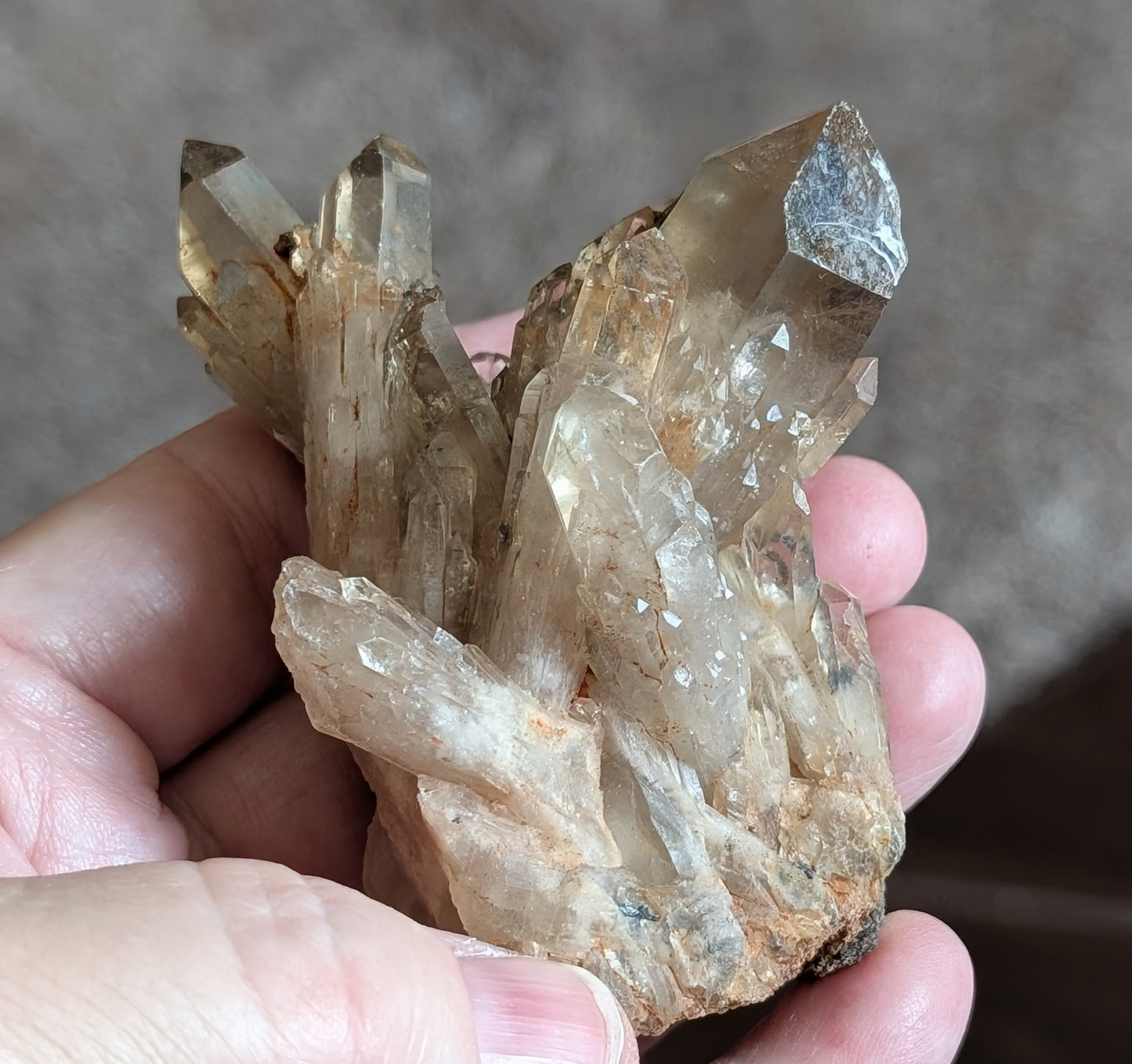 Natural Citrine Cluster Specimen