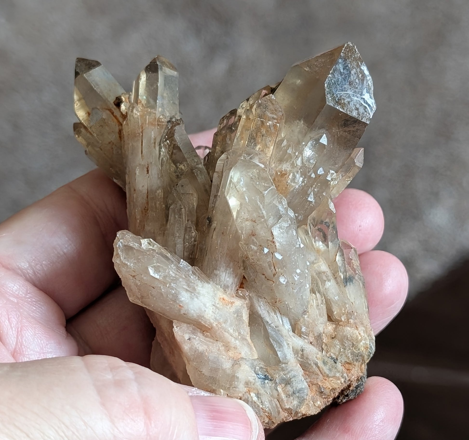 Natural Citrine Cluster Specimen