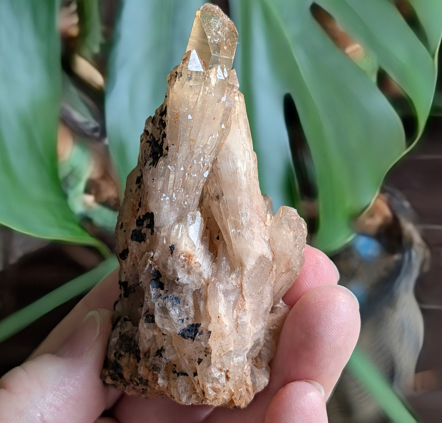 Natural Lwena Citrine Cluster Specimen