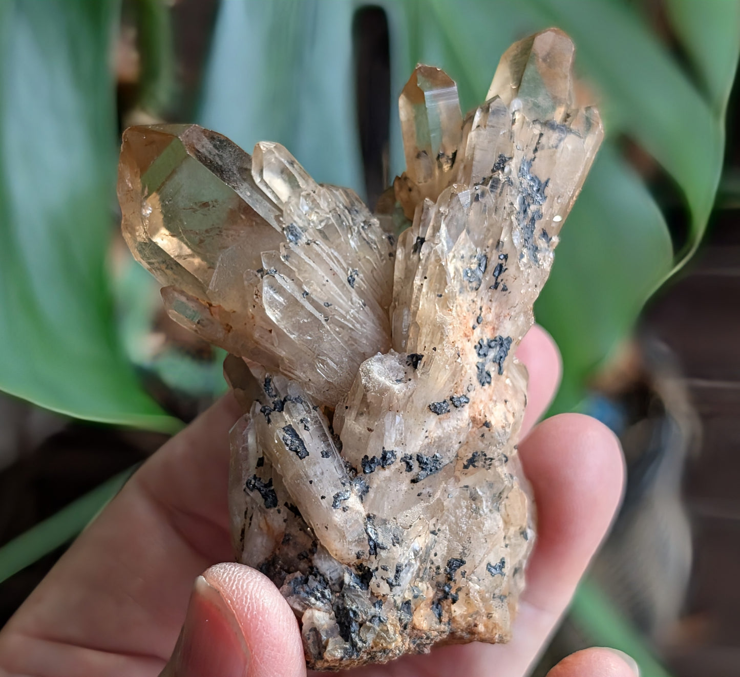 Natural Citrine Cluster Specimen