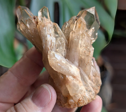 Natural Citrine Cluster Specimen