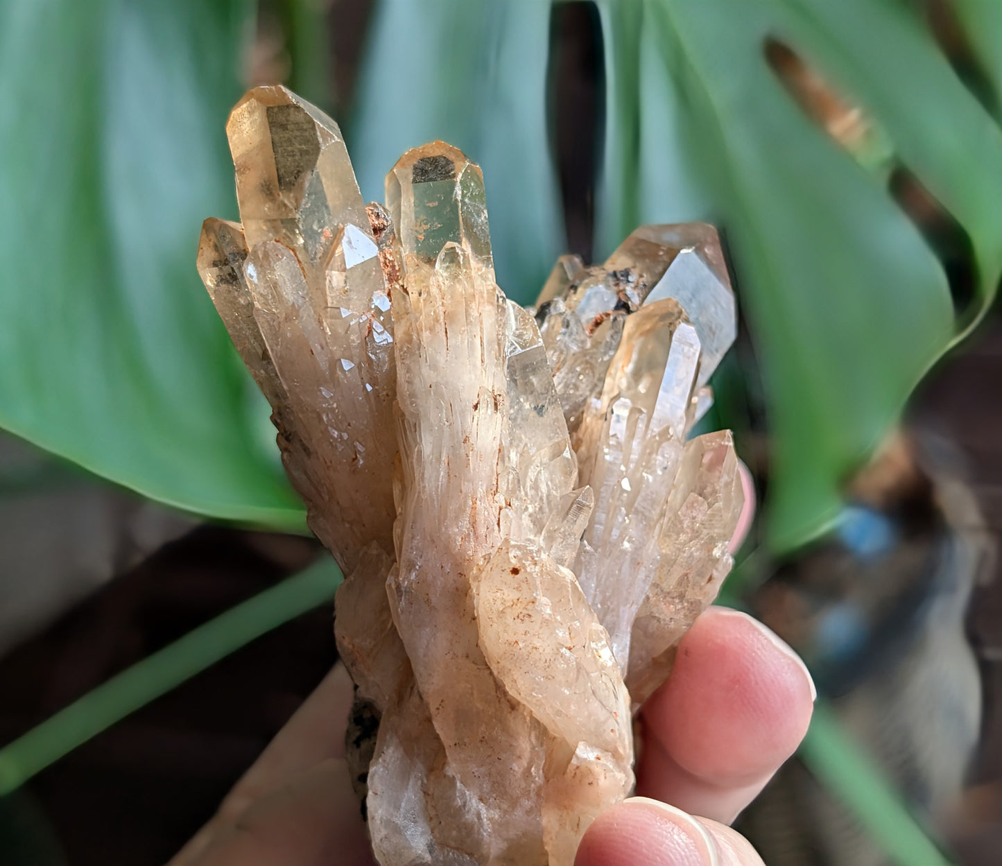Natural Lwena Citrine Cluster Specimen