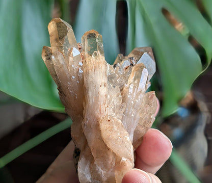 Natural Lwena Citrine Cluster Specimen