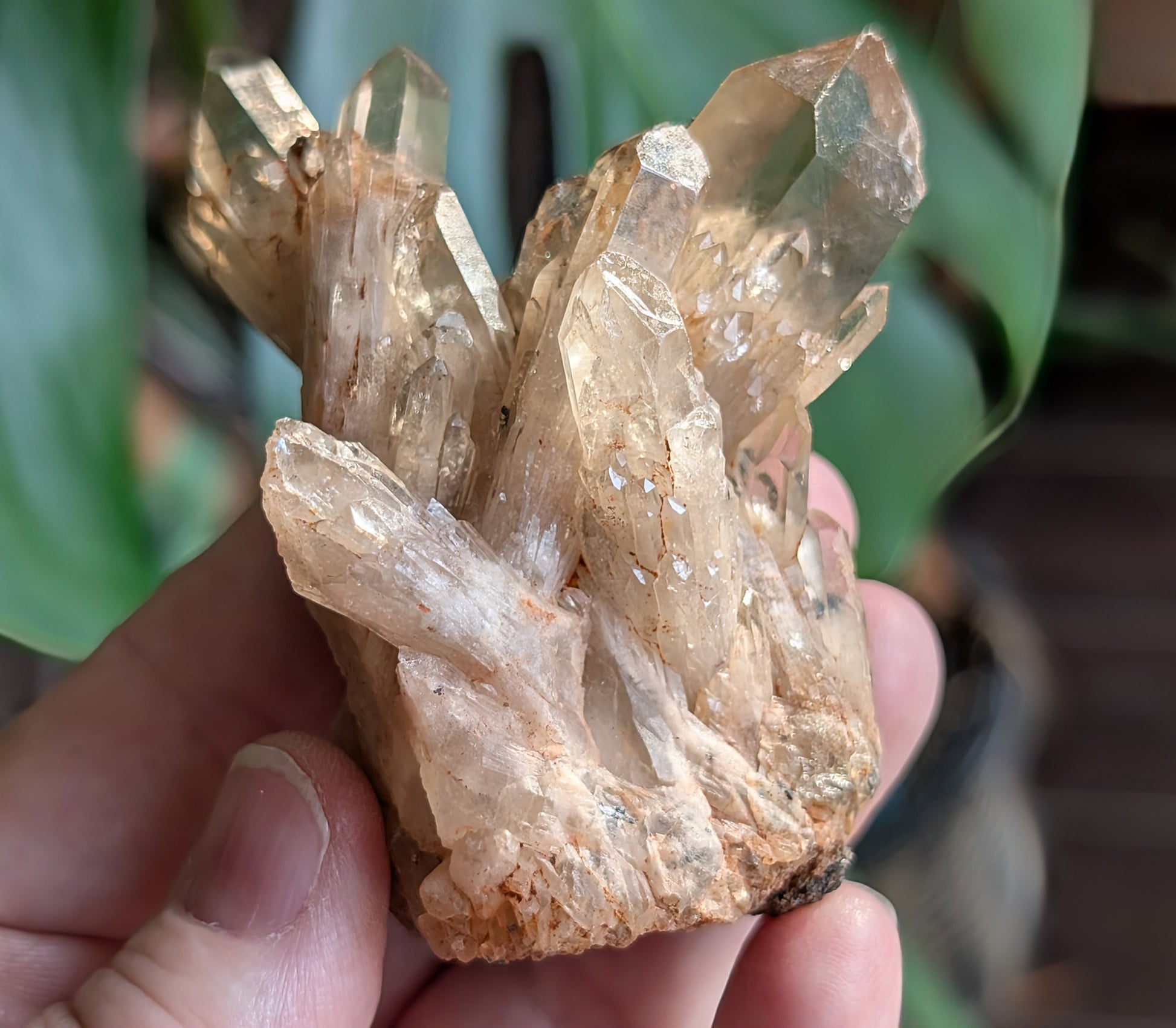 Natural Citrine Cluster Specimen