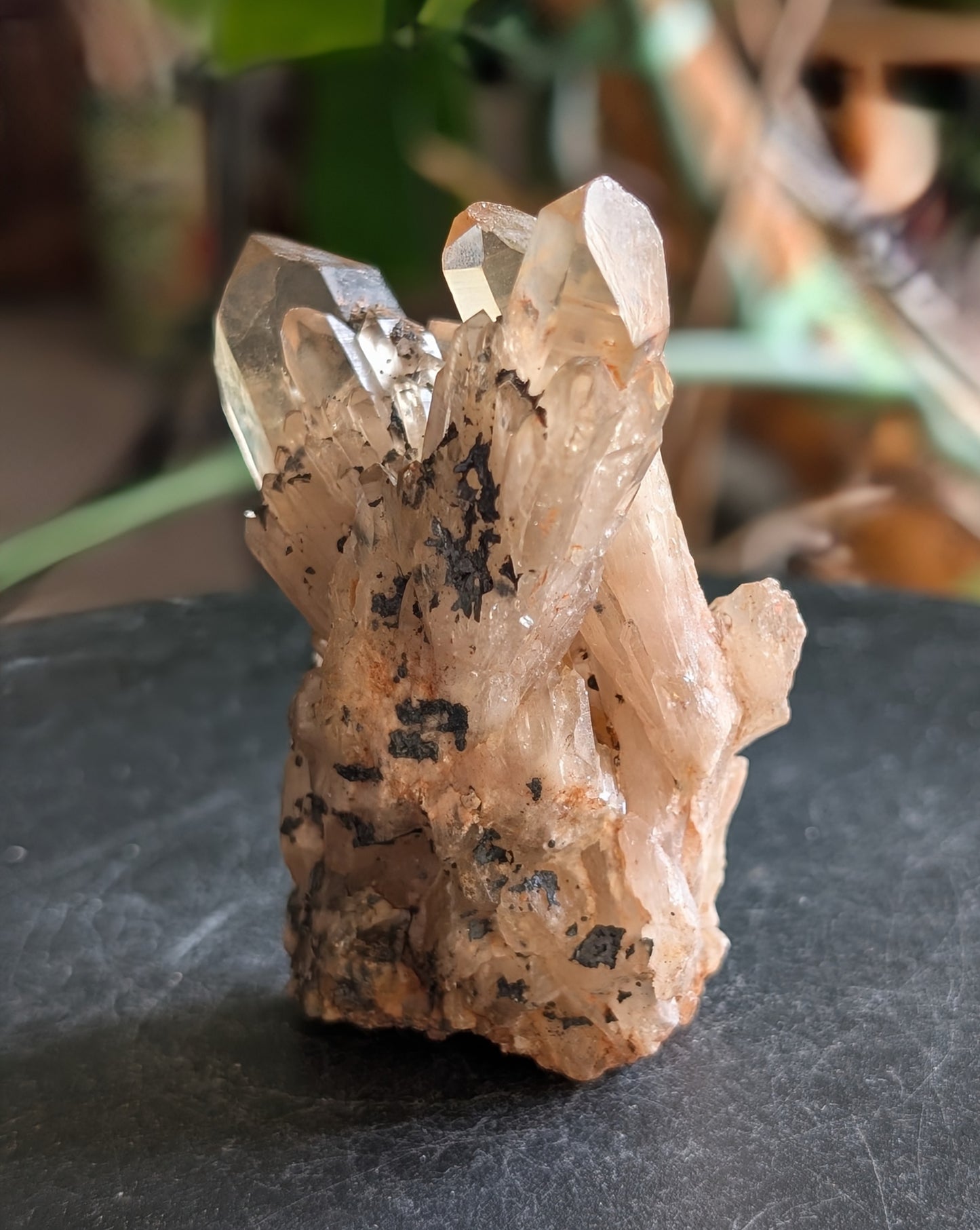 Natural Citrine Cluster Specimen