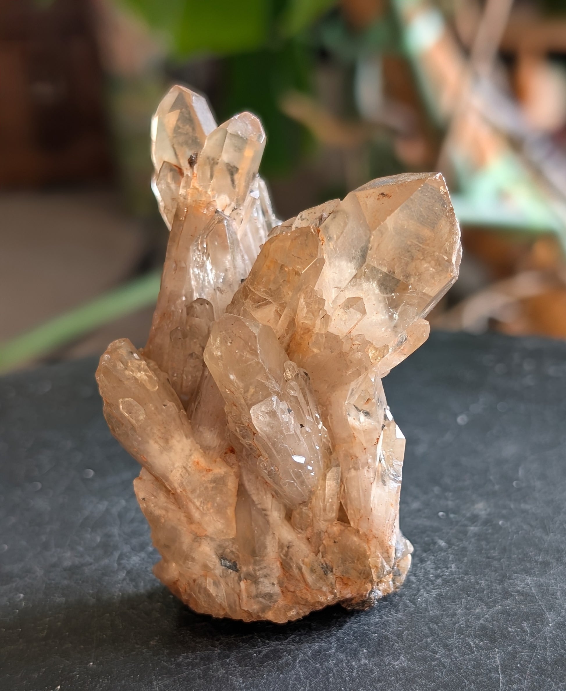 Natural Citrine Cluster Specimen