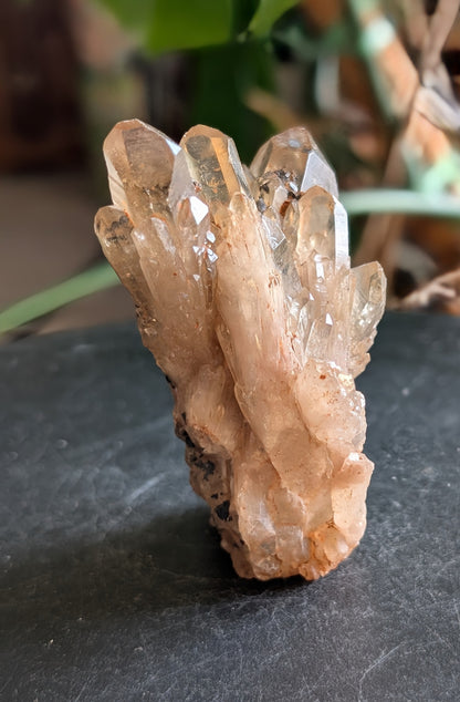 Natural Citrine Cluster Specimen