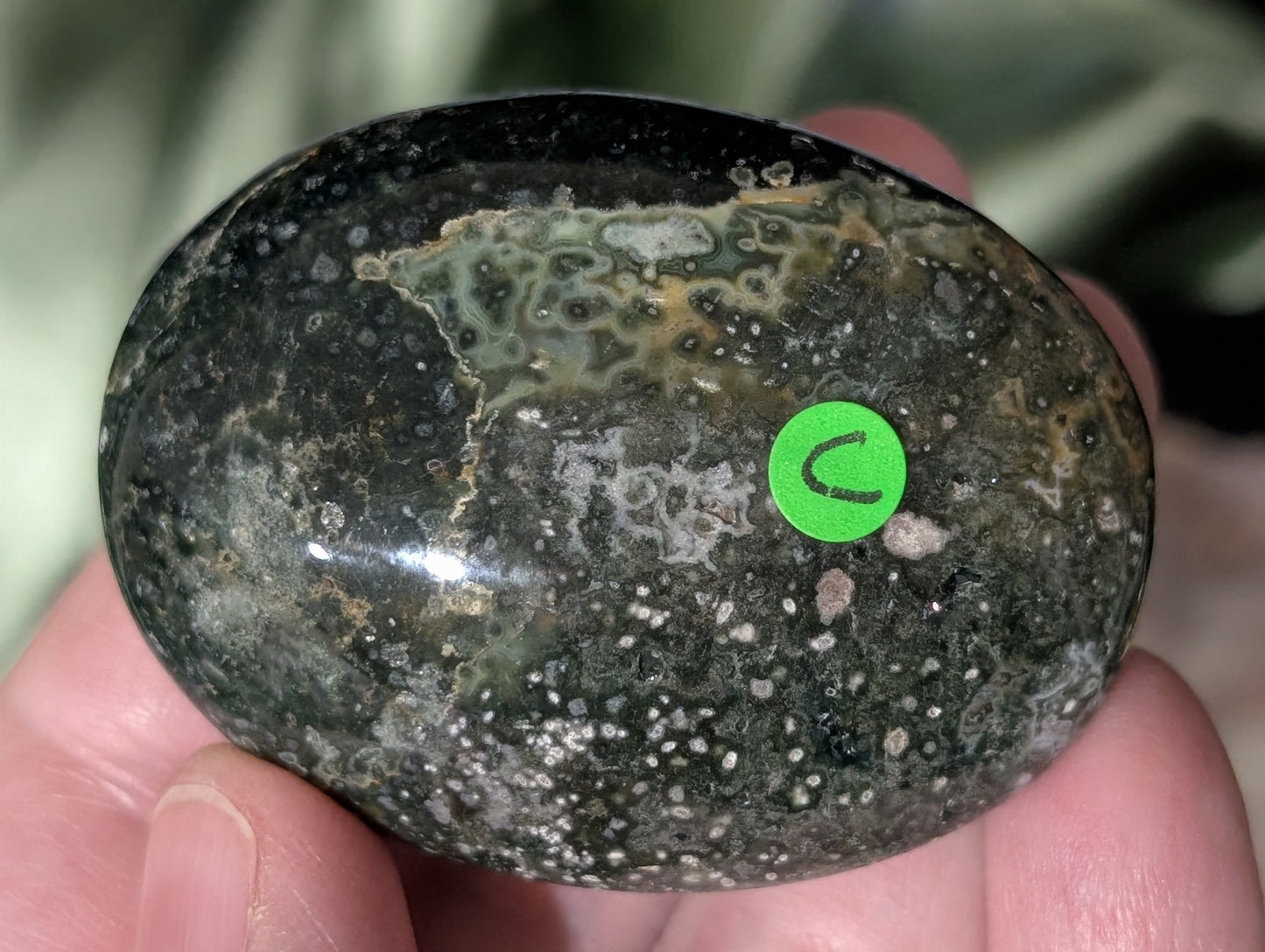 Ocean Jasper Palm Stone