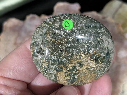 Ocean Jasper Palm Stone
