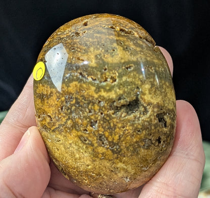 Ocean Jasper Palm Stone
