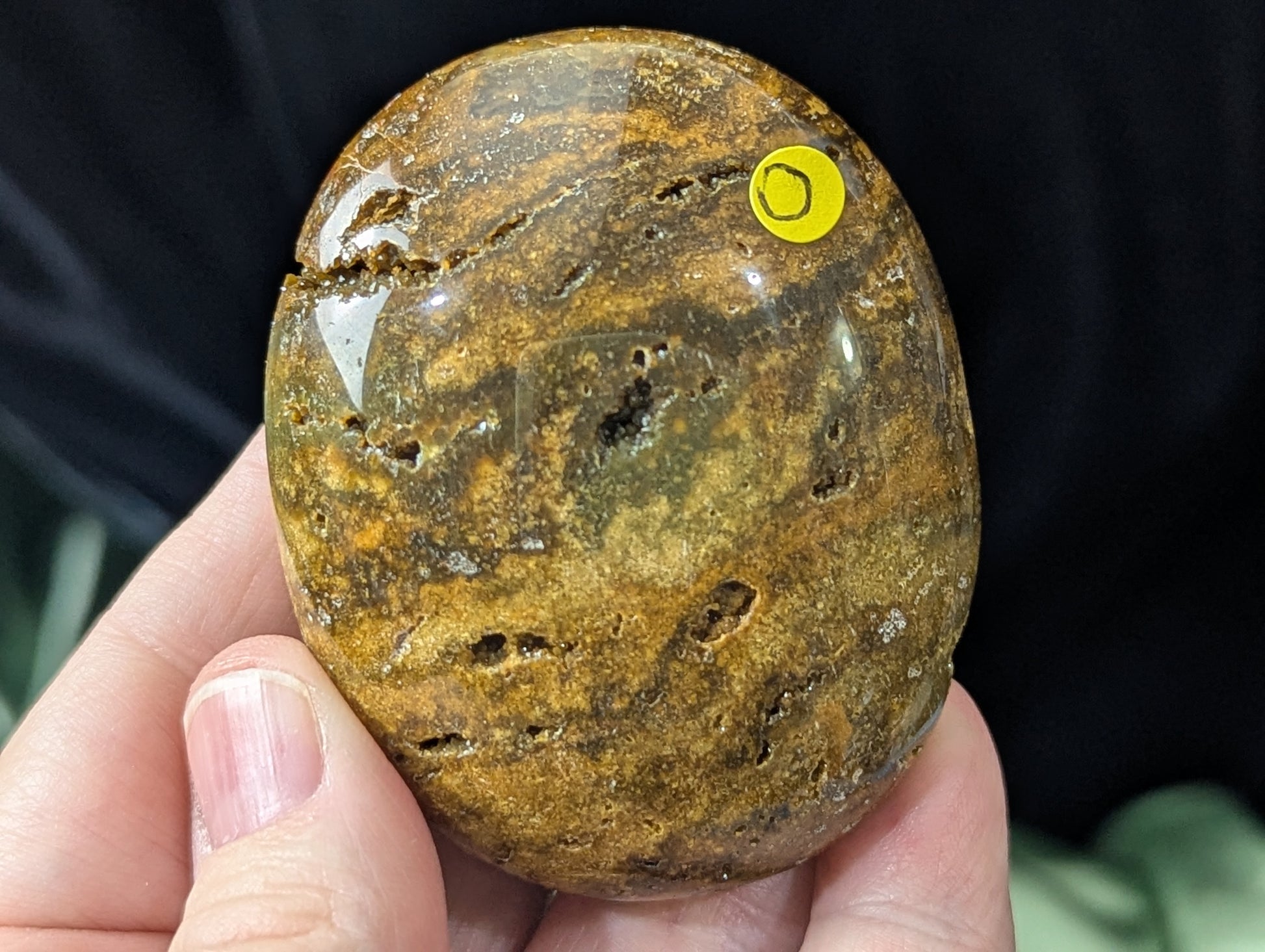 Ocean Jasper Palm Stone