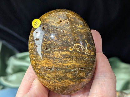 Ocean Jasper Palm Stone