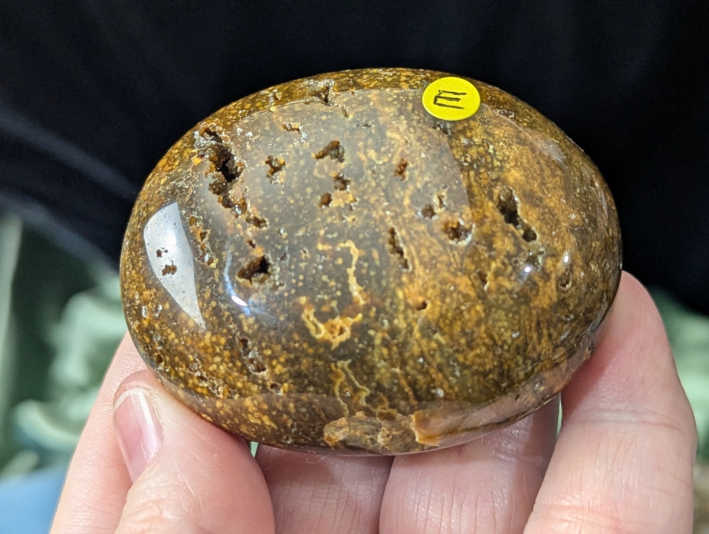 Ocean Jasper Palm Stone