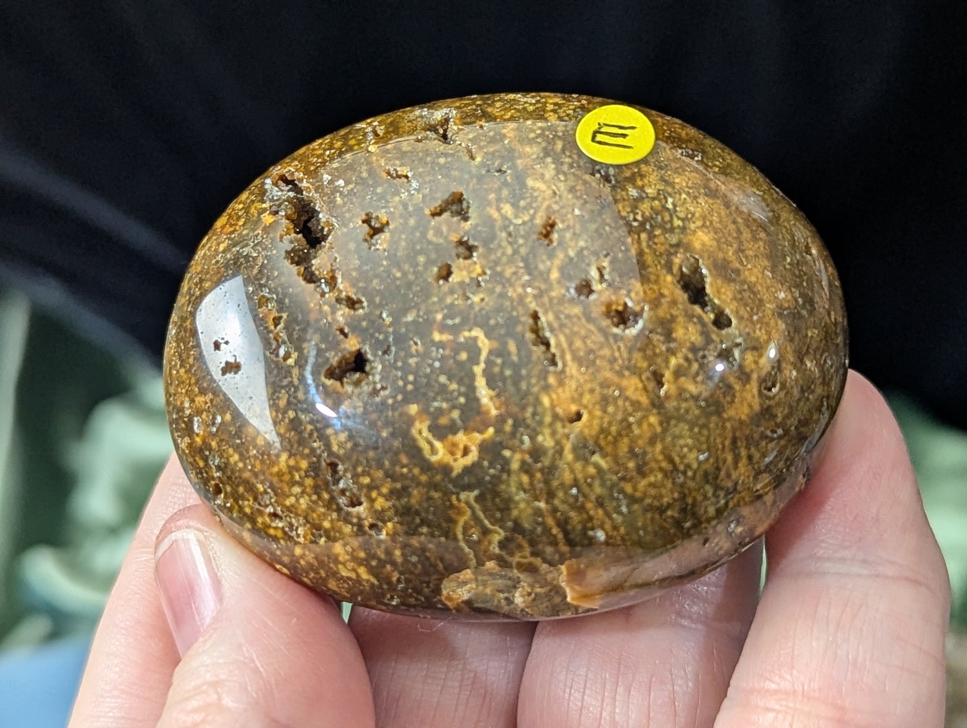 Ocean Jasper Palm Stone