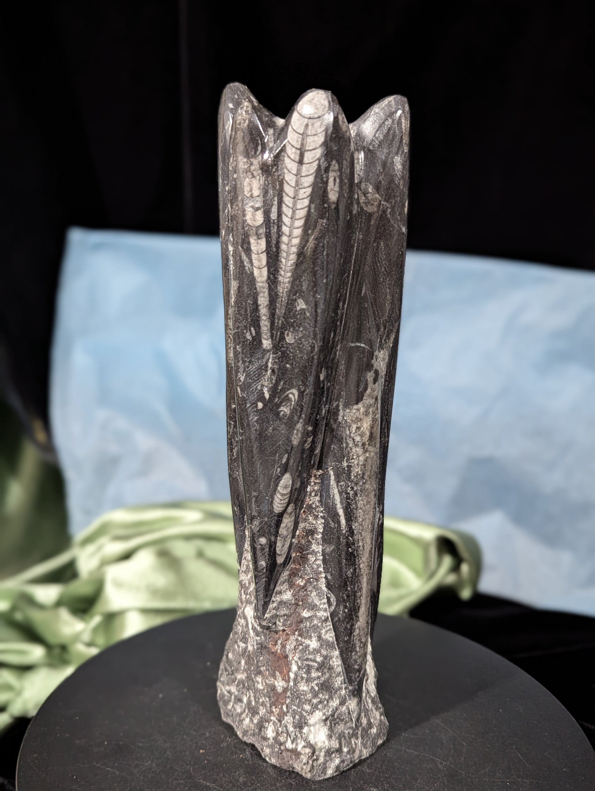Orthoceras Tower