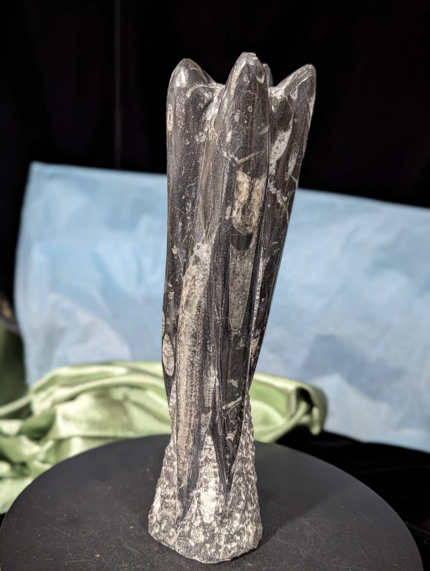 Orthoceras Tower