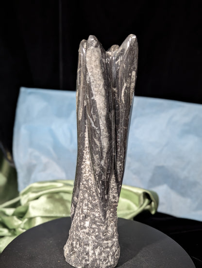 Orthoceras Tower