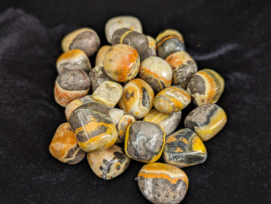 Bumblebee Jasper Tumbles