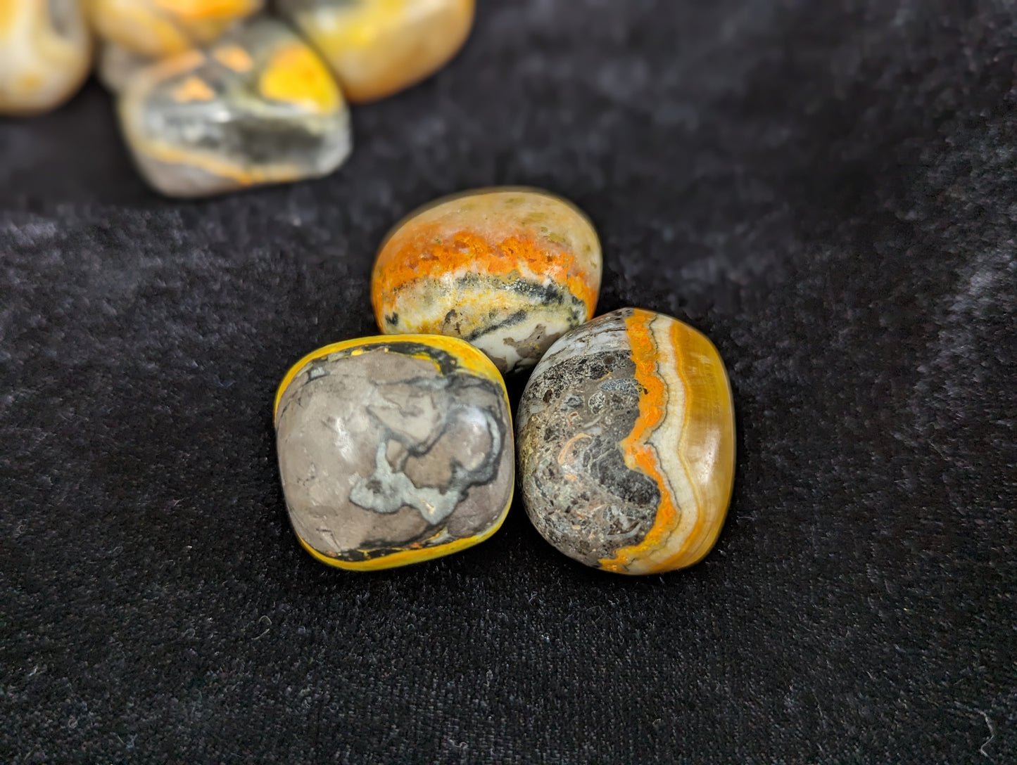 Bumblebee Jasper Tumbles