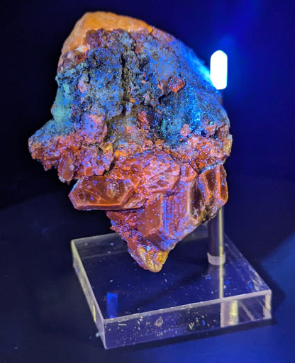 Rare Fluorescent Afghanite Specimen in Matrix with Phlogopite