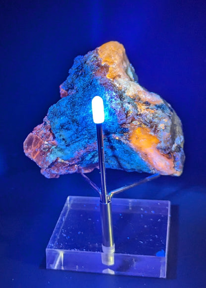 Rare Fluorescent Afghanite Specimen in Matrix with Phlogopite