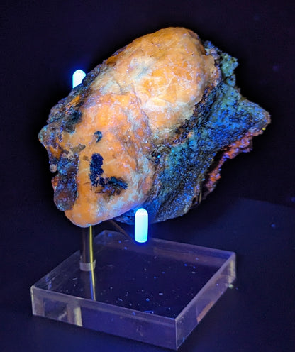 Rare Fluorescent Afghanite Specimen in Matrix with Phlogopite