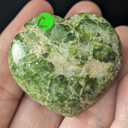 Amazing Green Tremolite Hearts and Palms