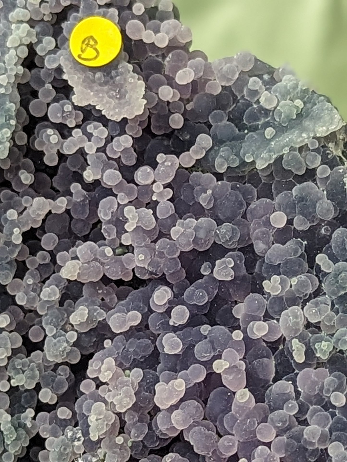 Grape Agate Clusters ~ Purple and Green Grape Agate Specimens ~ Botryoidal Purple Chalcedony Specimens