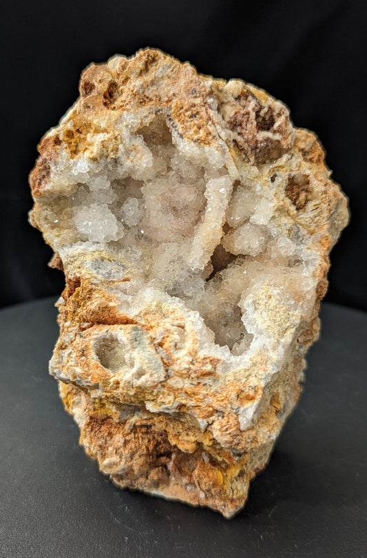 Agatized Coral Specimen Freeform