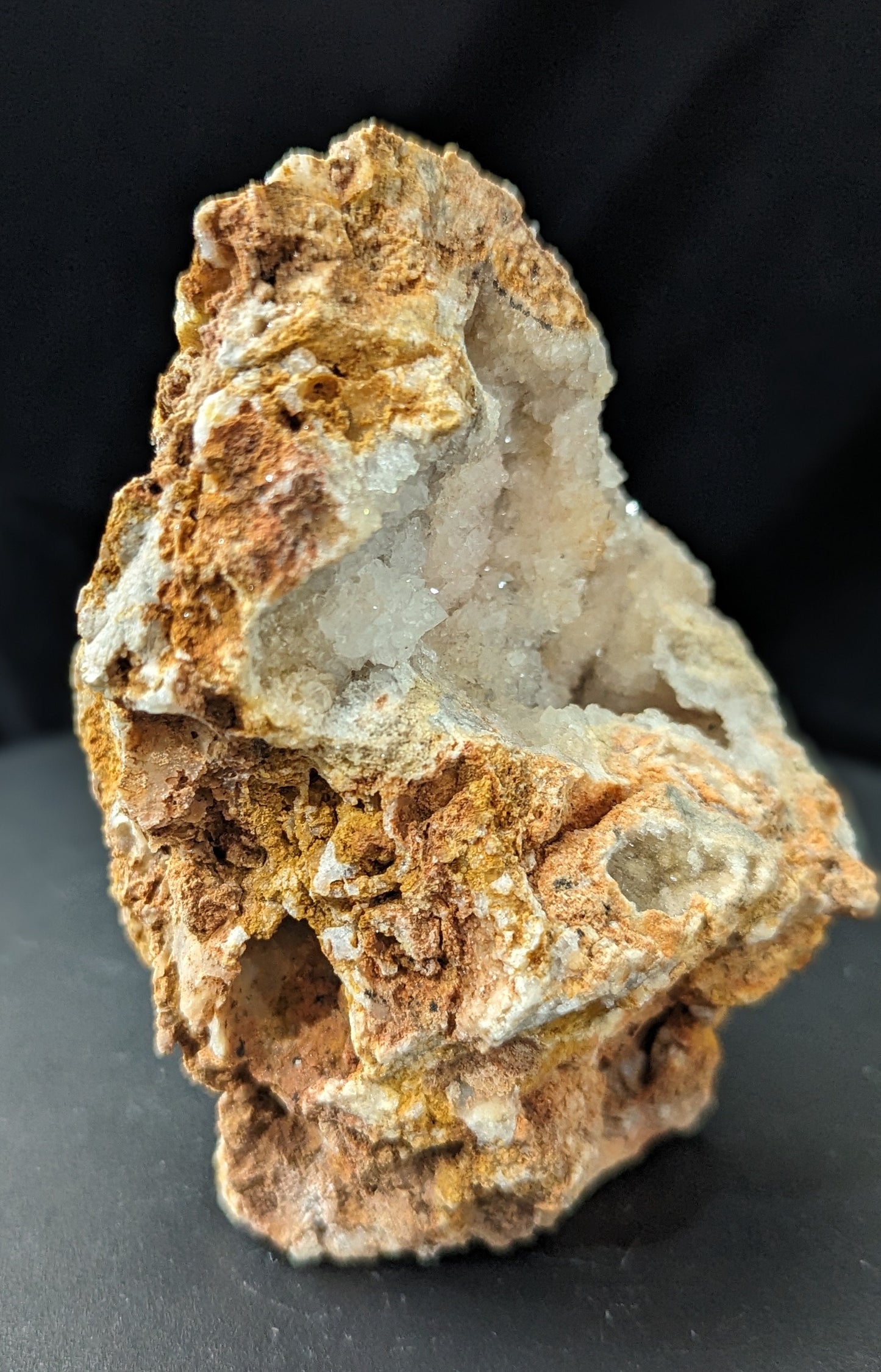 Agatized Coral Specimen Freeform