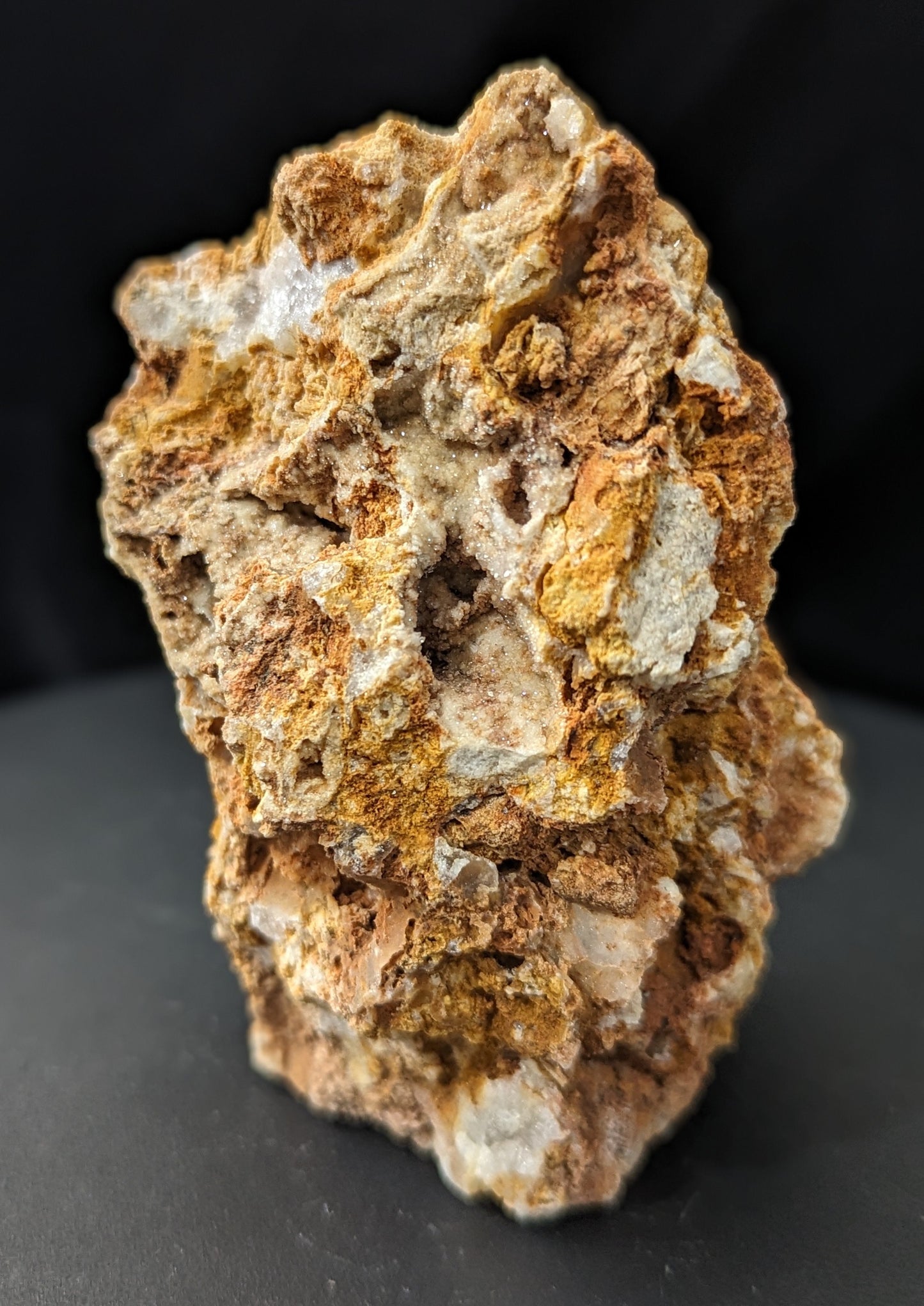 Agatized Coral Specimen Freeform