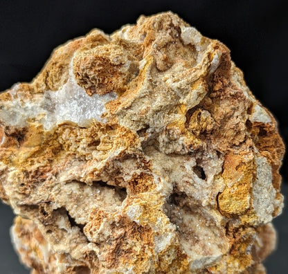 Agatized Coral Specimen Freeform