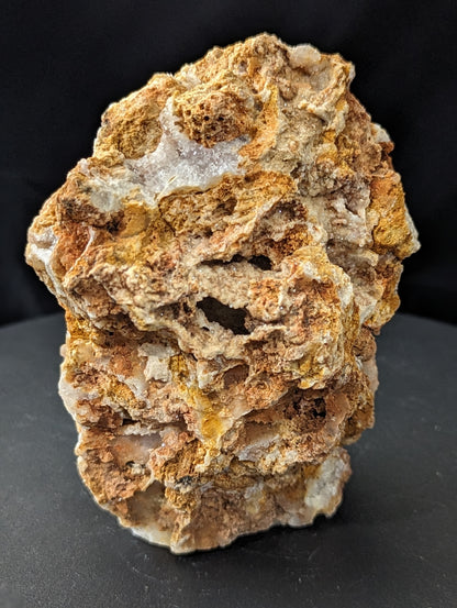 Agatized Coral Specimen Freeform