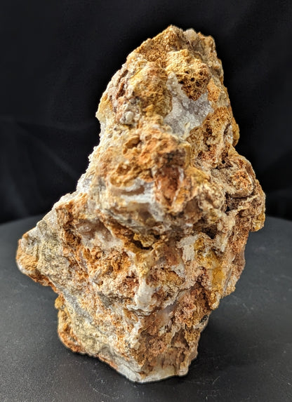 Agatized Coral Specimen Freeform