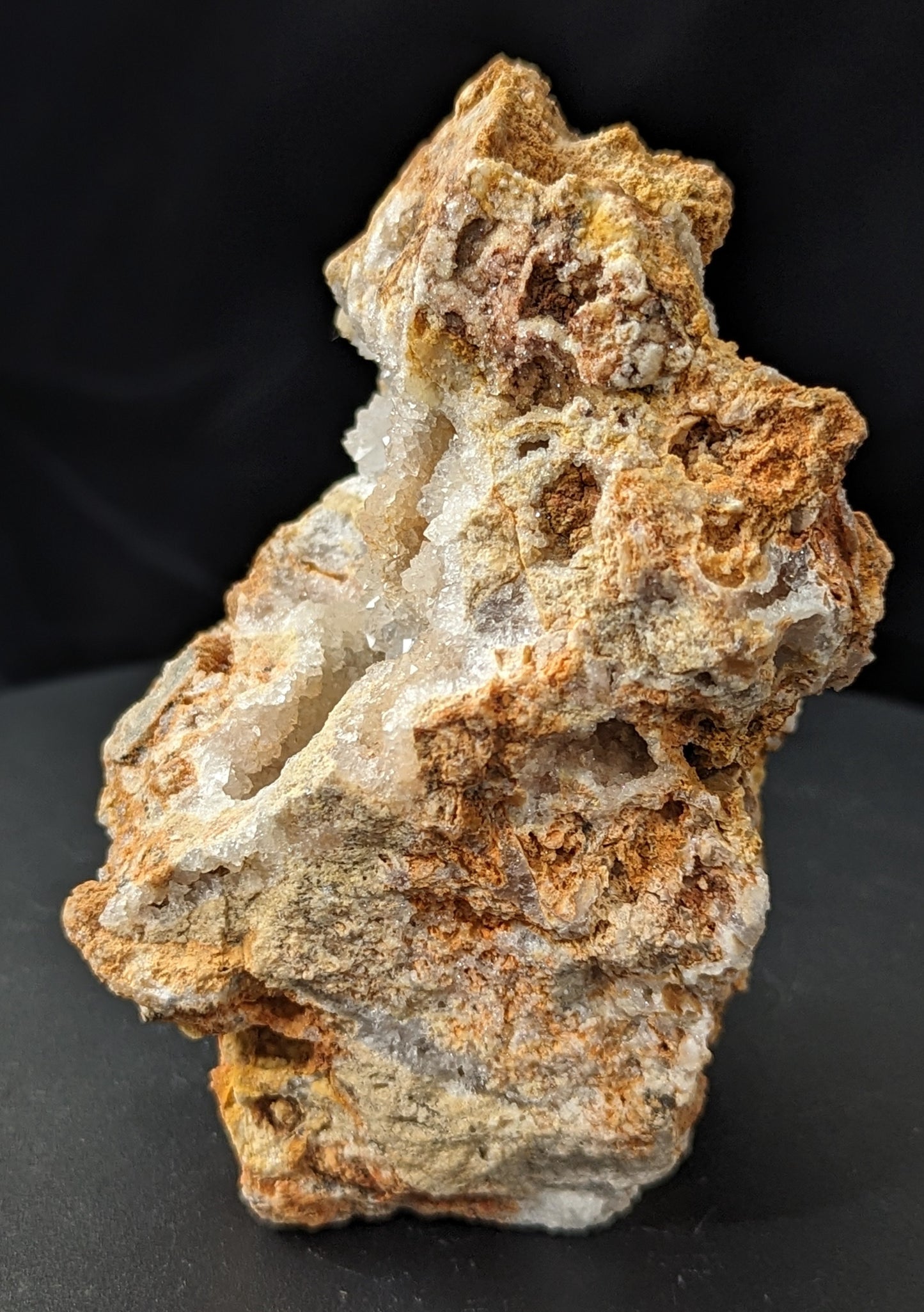 Agatized Coral Specimen Freeform