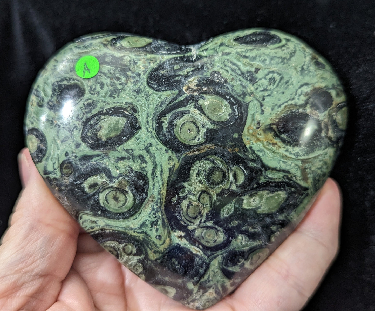 Puffy Kambaba Jasper Heart ~ Green Stromatolite Jasper