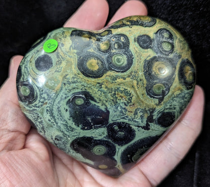 Puffy Kambaba Jasper Heart ~ Green Stromatolite Jasper