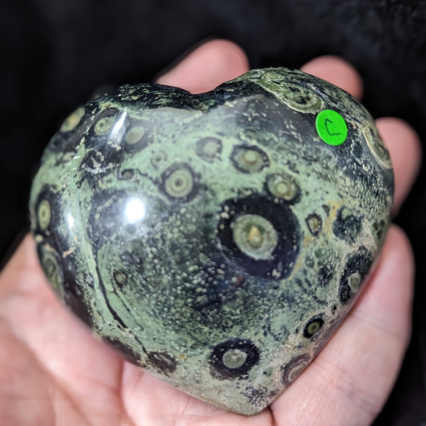 Puffy Kambaba Jasper Heart ~ Green Stromatolite Jasper